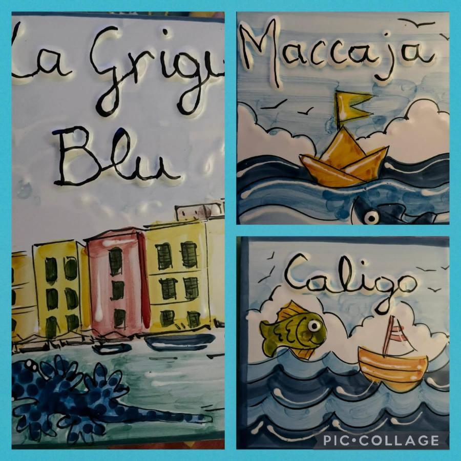 Appartamento La Grigua Blu *